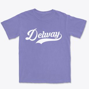 Delway North Carolina Vintage Team Premium Heavyweight T-shirt