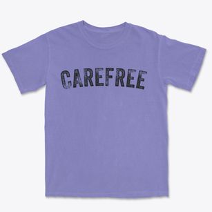Carefree Arizona Timeless Retro Premium Heavyweight T-shirt