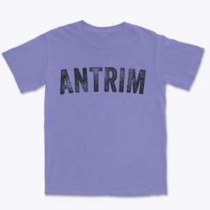 Antrim New Hampshire Timeless Retro Premium Heavyweight T-shirt