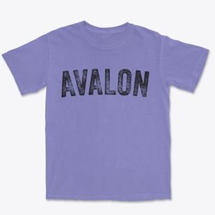 Avalon New Jersey Timeless Retro Premium Heavyweight T-shirt
