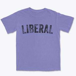 Liberal Missouri Timeless Retro Premium Heavyweight T-shirt