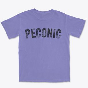 Peconic New York Timeless Retro Premium Heavyweight T-shirt