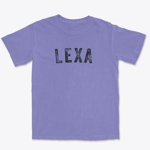 Lexa Arkansas Timeless Retro Premium Heavyweight T-shirt