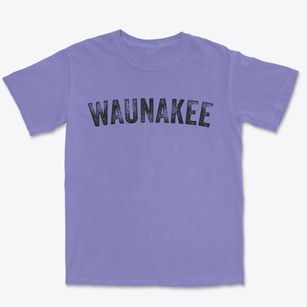 Waunakee Wisconsin Timeless Retro Premium Heavyweight T-shirt