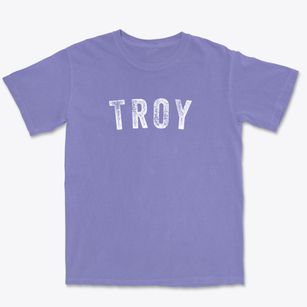 Troy New Hampshire Timeless Retro Premium Heavyweight T-shirt