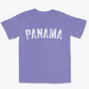 Panama New York Timeless Retro Premium Heavyweight T-shirt