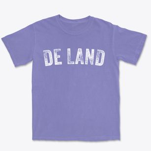 De Land Illinois Timeless Retro Premium Heavyweight T-shirt