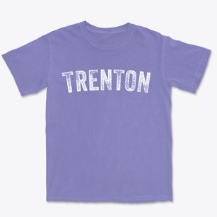 Trenton North Carolina Timeless Retro Premium Heavyweight T-shirt