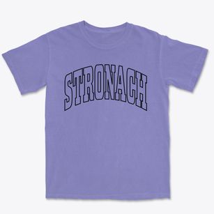 Stronach Michigan Trendy Block Premium Heavyweight T-shirt