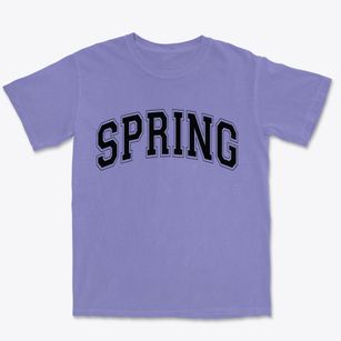 Spring Texas Varsity Premium Heavyweight T-shirt