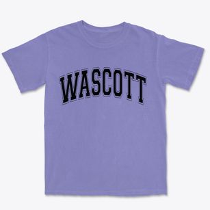 Wascott Wisconsin Varsity Premium Heavyweight T-shirt