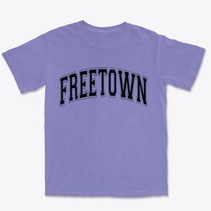 Freetown New York Varsity Premium Heavyweight T-shirt
