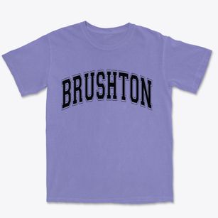 Brushton New York Varsity Premium Heavyweight T-shirt