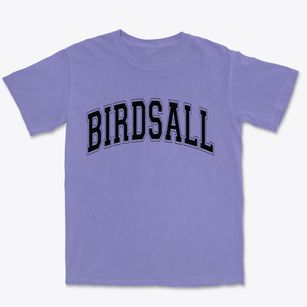 Birdsall New York Varsity Premium Heavyweight T-shirt