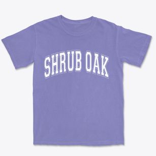 Shrub Oak New York Varsity Premium Heavyweight T-shirt