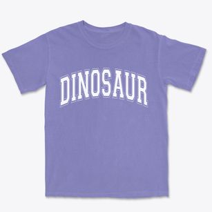 Dinosaur Colorado Varsity Premium Heavyweight T-shirt
