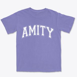 Amity Missouri Varsity Premium Heavyweight T-shirt