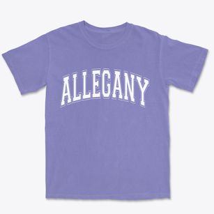 Allegany New York Varsity Premium Heavyweight T-shirt