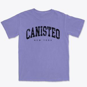 Canisteo New York Urban Vibe Premium Heavyweight T-shirt
