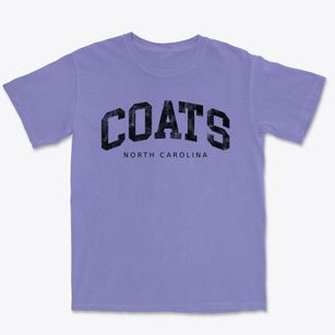 Coats North Carolina Urban Vibe Premium Heavyweight T-shirt
