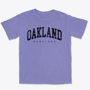 Oakland Maryland Urban Vibe Premium Heavyweight T-shirt
