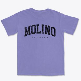 Molino Florida Urban Vibe Premium Heavyweight T-shirt