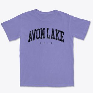 Avon Lake Ohio Urban Vibe Premium Heavyweight T-shirt