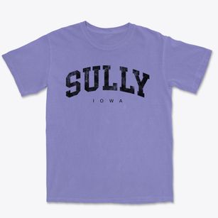 Sully Iowa Urban Vibe Premium Heavyweight T-shirt