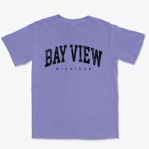 Bay View Michigan Urban Vibe Premium Heavyweight T-shirt