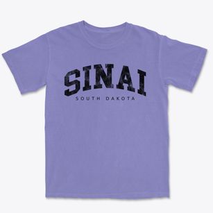 Sinai South Dakota Urban Vibe Premium Heavyweight T-shirt