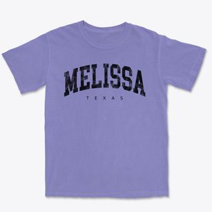 Melissa Texas Urban Vibe Premium Heavyweight T-shirt