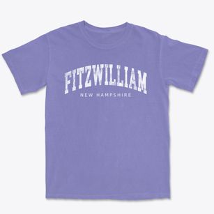 Fitzwilliam New Hampshire Urban Vibe Premium Heavyweight T-shirt