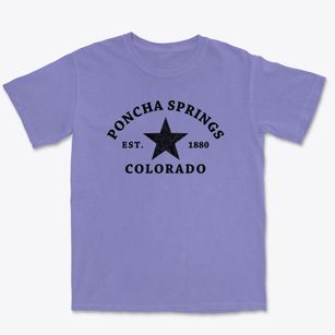 Poncha Springs Colorado Star Premium Heavyweight T-shirt