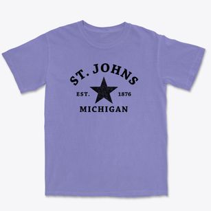 St. Johns Michigan Star Premium Heavyweight T-shirt