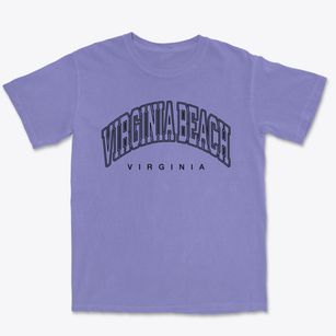 Virginia Beach Virginia Inline Premium Heavyweight T-shirt