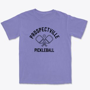Prospectville Pennsylvania Pickleball Premium Heavyweight T-shirt