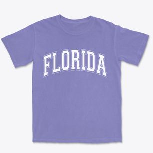  Florida Varsity State Premium Heavyweight T-shirt