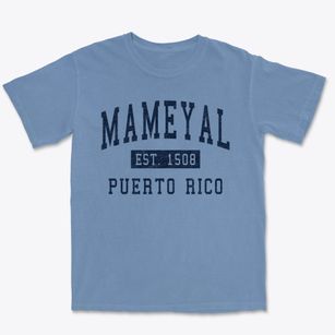 Mameyal Puerto Rico Classic Established Premium Heavyweight T-shirt