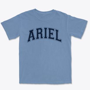 Ariel Community Academy Varsity Arch Premium Heavyweight T-shirt