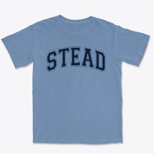 Stead Elementary School Varsity Arch Premium Heavyweight T-shirt