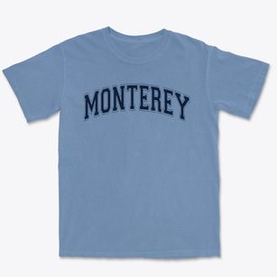 Monterey Elementary School Varsity Arch Premium Heavyweight T-shirt