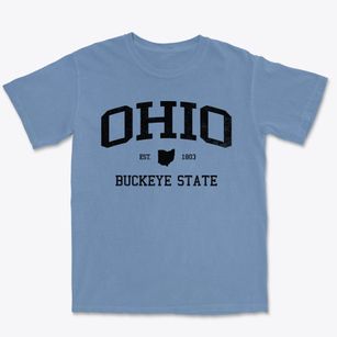  Ohio Slogan Premium Heavyweight T-shirt