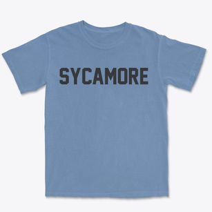 Sycamore Georgia Classic Block Premium Heavyweight T-shirt