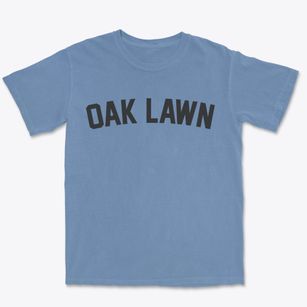 Oak Lawn Illinois Classic Curve Premium Heavyweight T-shirt