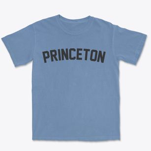 Princeton Wisconsin Classic Curve Premium Heavyweight T-shirt