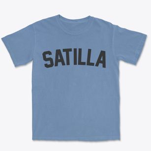 Satilla Georgia Classic Curve Premium Heavyweight T-shirt