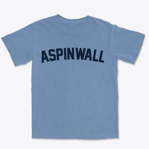 Aspinwall Pennsylvania Classic Curve Premium Heavyweight T-shirt