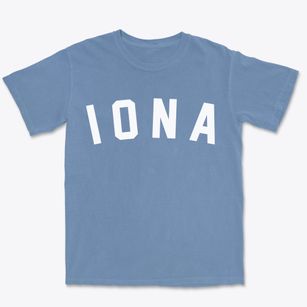 Iona Minnesota Classic Curve Premium Heavyweight T-shirt