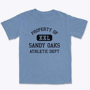 Sandy Oaks Texas Athletic Dept Premium Heavyweight T-shirt