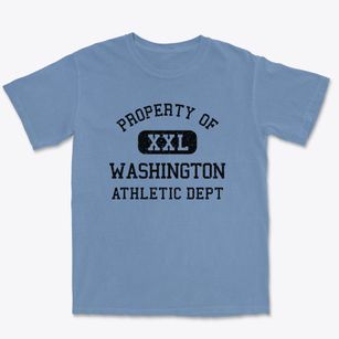 Washington Georgia Athletic Dept Premium Heavyweight T-shirt